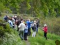 DAV Maiwanderung 2014 (14)